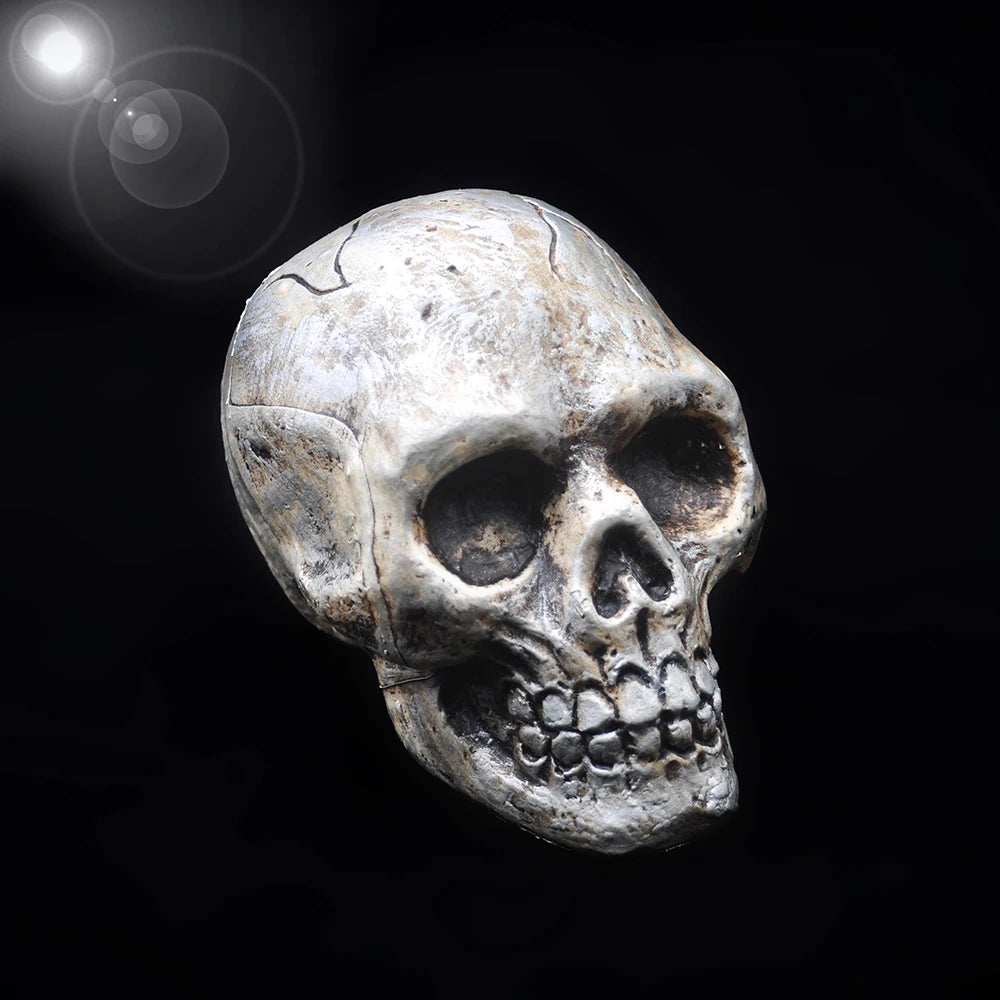 Halloween Skull Decoration High Quality Plastic Skull Model Pendant Statue Sculpture Horror Props Haunted House Party Ornaments