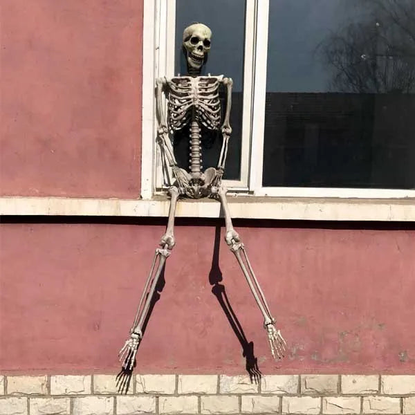Halloween Skeleton Props, Human Skeleton, Horror Bone, Halloween Decorations, Club Bar, 40 cm, 90 cm, 170cm