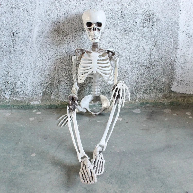 Halloween Skeleton Props, Human Skeleton, Horror Bone, Halloween Decorations, Club Bar, 40 cm, 90 cm, 170cm