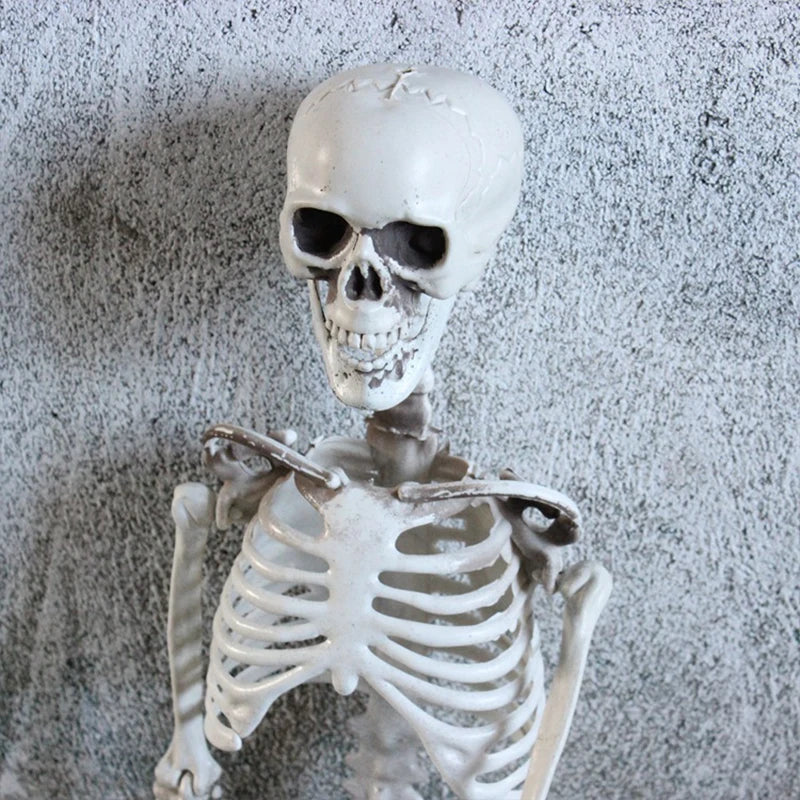 Halloween Skeleton Props, Human Skeleton, Horror Bone, Halloween Decorations, Club Bar, 40 cm, 90 cm, 170cm