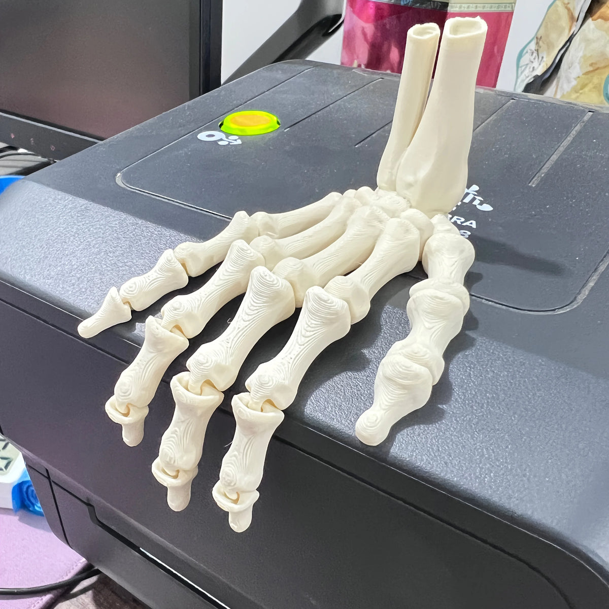 A Pair Scary Skull Hand Skeleton Human Hand Ghost Halloween Party Props Zombie Festival Haunted House Carnival Party DIY Decors