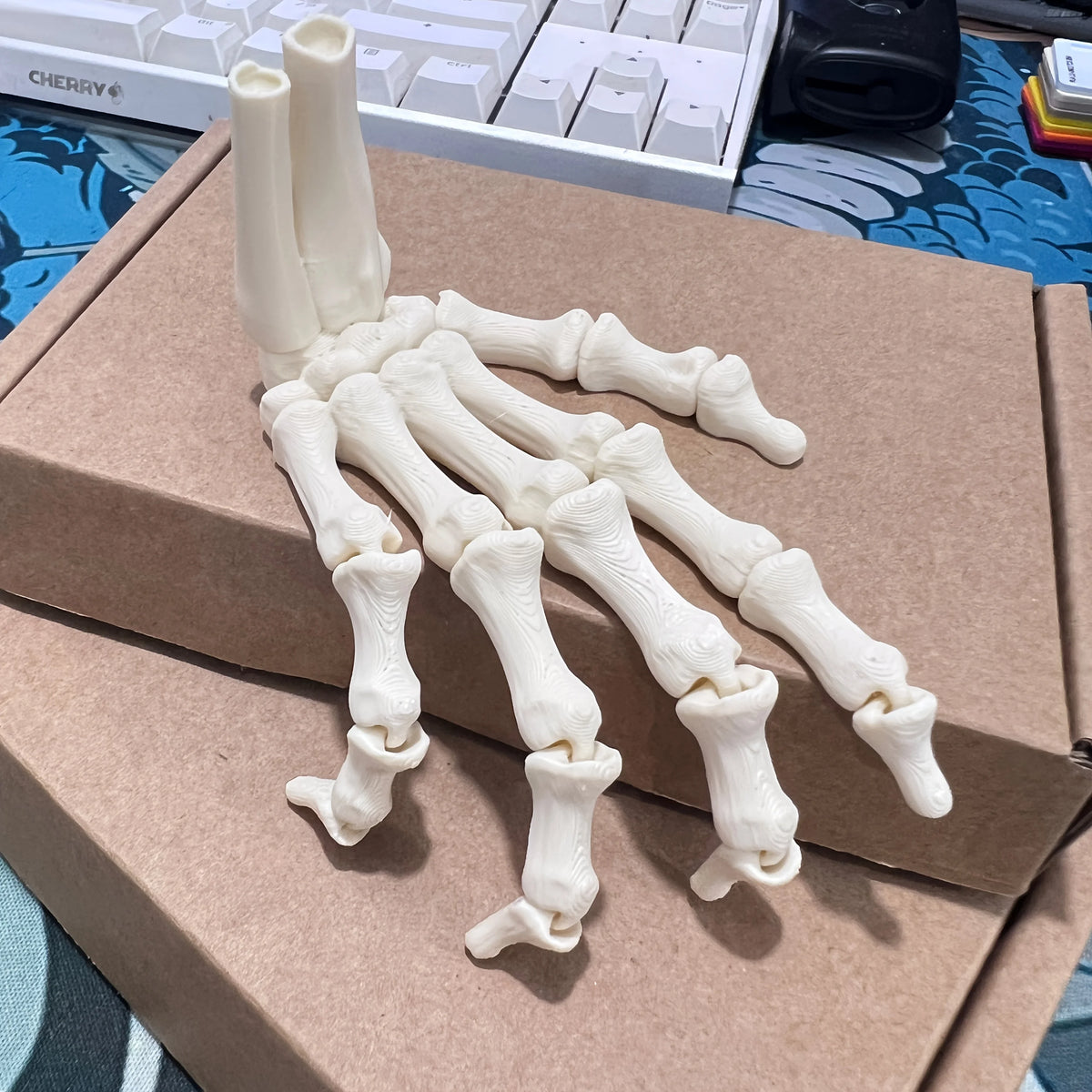 A Pair Scary Skull Hand Skeleton Human Hand Ghost Halloween Party Props Zombie Festival Haunted House Carnival Party DIY Decors